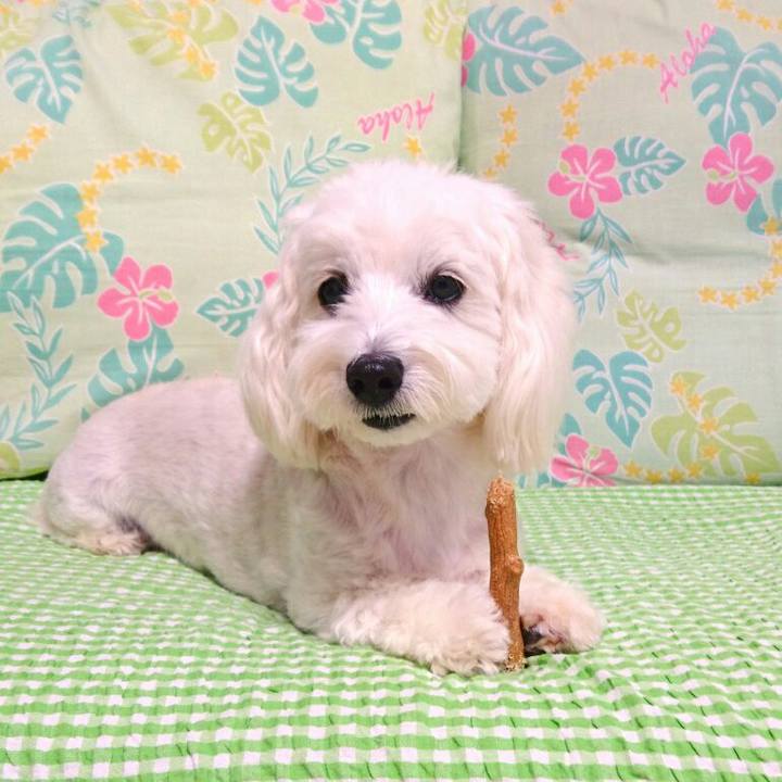 65906bb8 6b80 454a a76a 1b2ab195ad8d