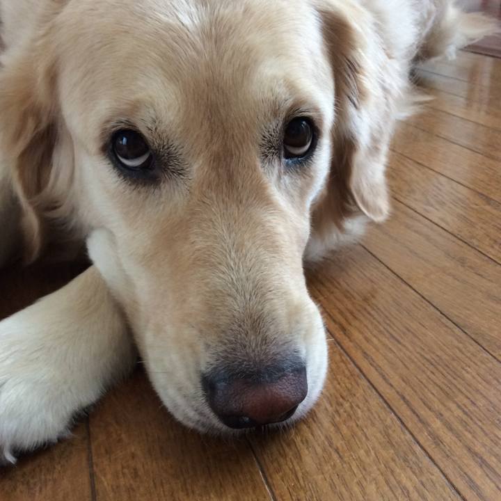 659074ec 78f8 4543 999e 9f7c619db17b