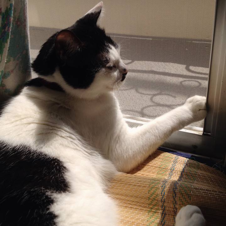 6590b28c ebce 4576 a105 700b49043739