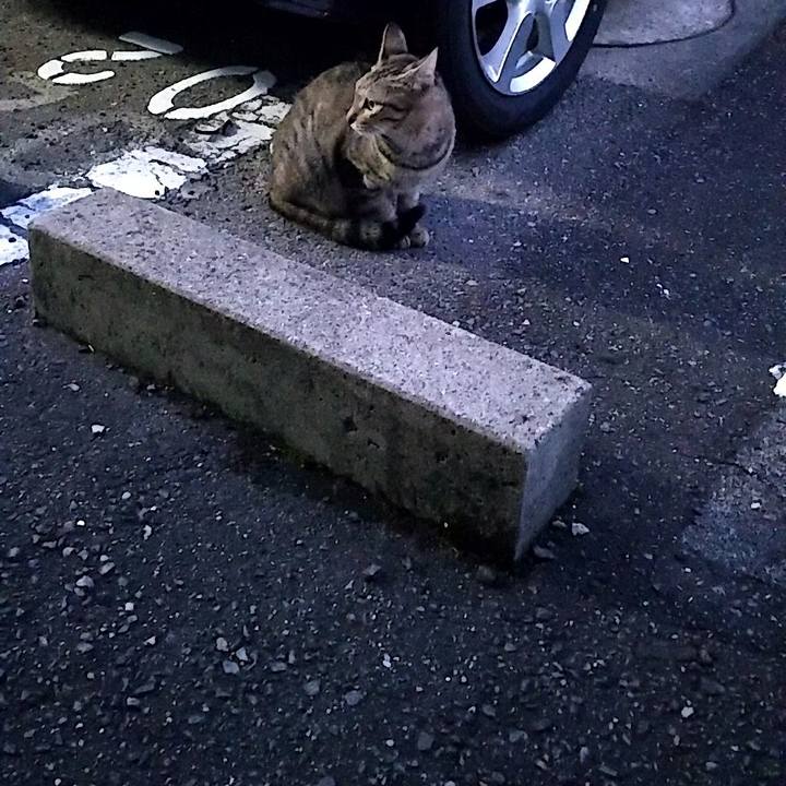 6590bf39 8a74 4b4f 84af f5d9db124836