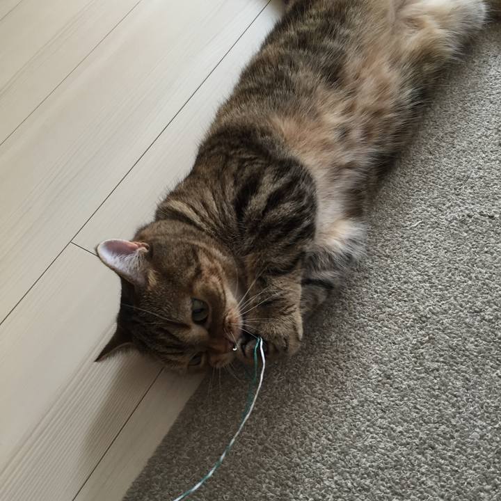 6590d8be 21d1 400e a9a6 650ad598987a