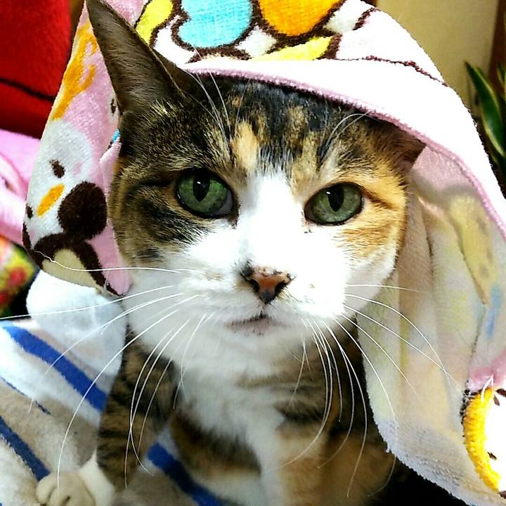 6590f4cc f766 45b3 ab72 a6142e8387d0