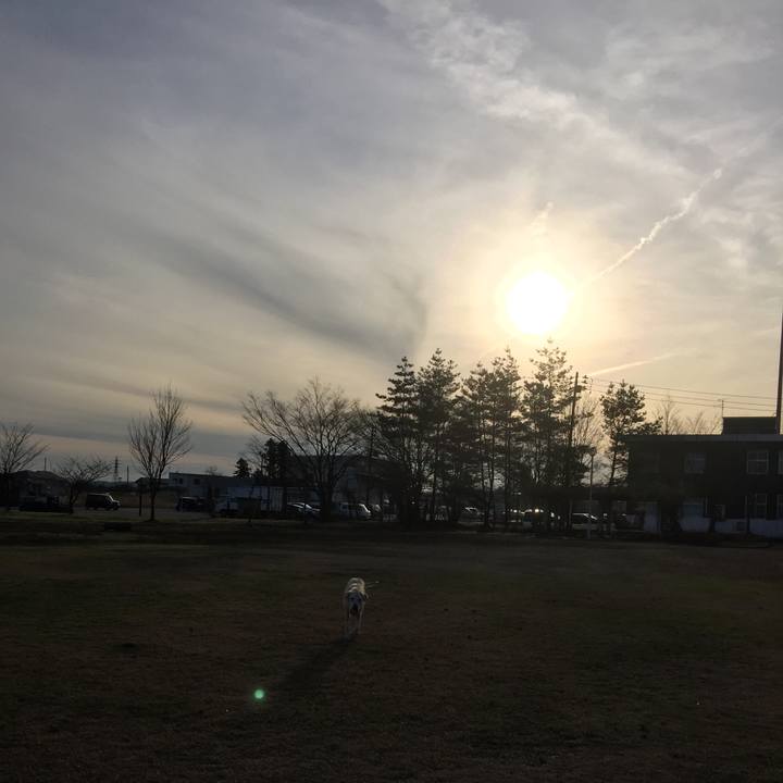 6591068b ada2 46ec ad37 26390580bdbf