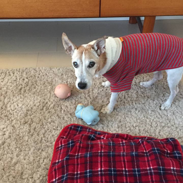 65928e69 482b 4405 949b 363d11d26430