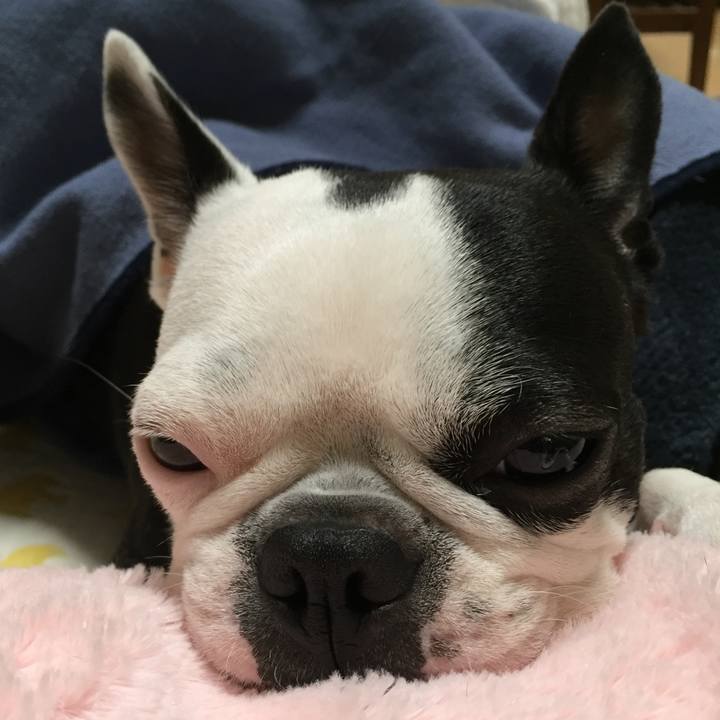 659323a3 e18c 4fa7 9bc7 1f6de47a2c41