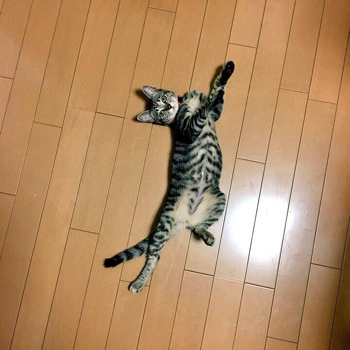 65942181 361e 4ee7 9ca3 6896b3051095