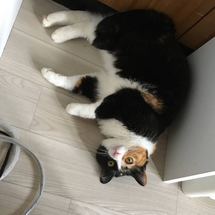 6595ef66 a9a6 4d5d a4d1 2eb23884b4e9