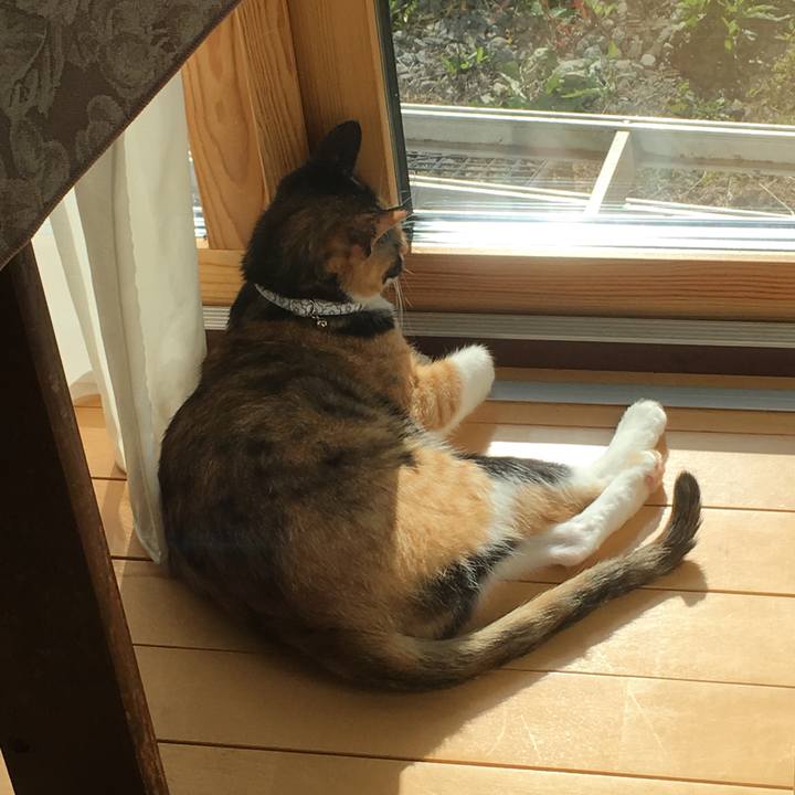 65968b78 b8da 4149 af5c 1fcf3da24aeb