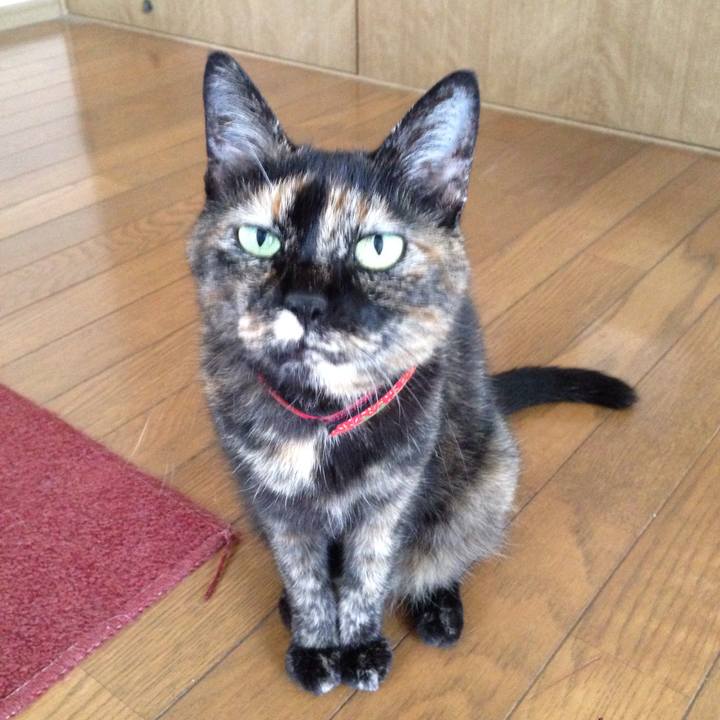 6596c37f 3cbf 4768 8f2a f45c6e05e46a