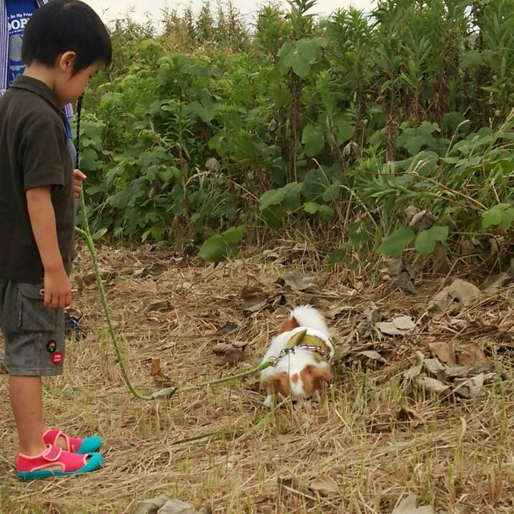 65972a20 9253 4d50 856f 4f0a69c69b17