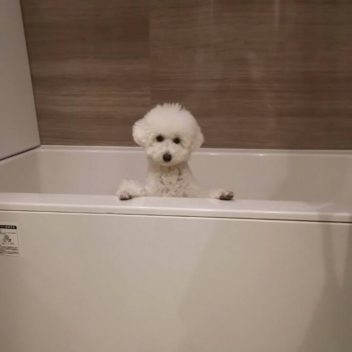 65976907 6b01 40f3 abd8 fffb463eb047