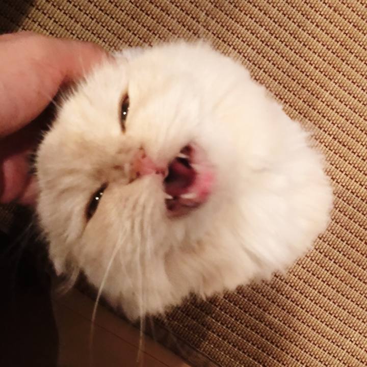 65978942 a916 4c6b 8a72 2471ea6317b4