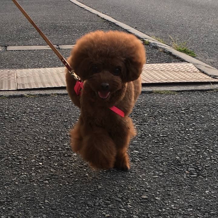 65984834 614e 4c62 abe9 10dbd81e8e85