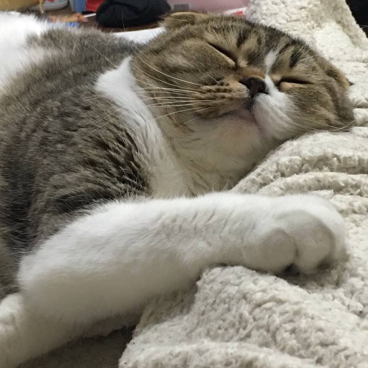 659862c9 171c 4e70 b3e3 d44822cd7add