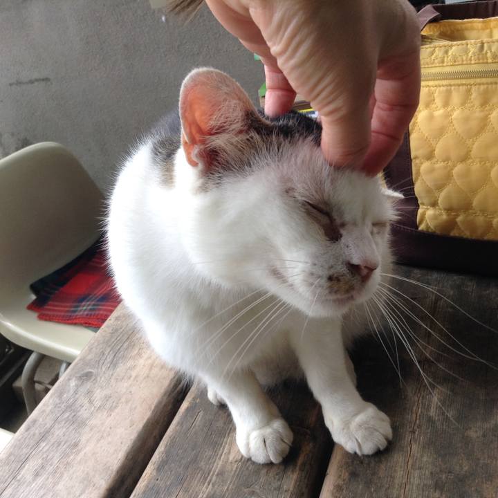 6598831e 3741 41d2 9a0b 5d425e531e8a