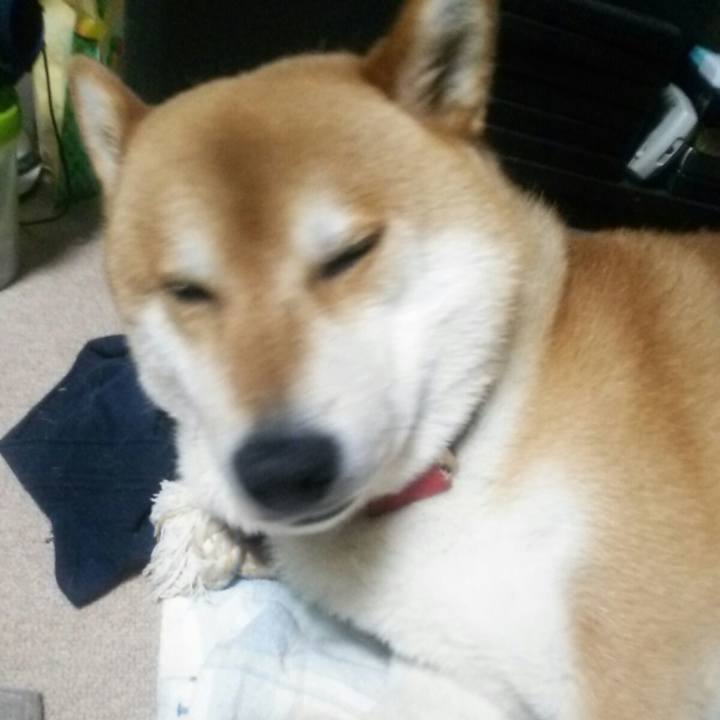 65991ee1 c3cc 40fa 84f4 6eeca4521173