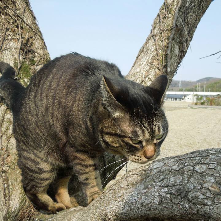 65992215 2c42 4e00 b5d1 fa8f8f3f61ce