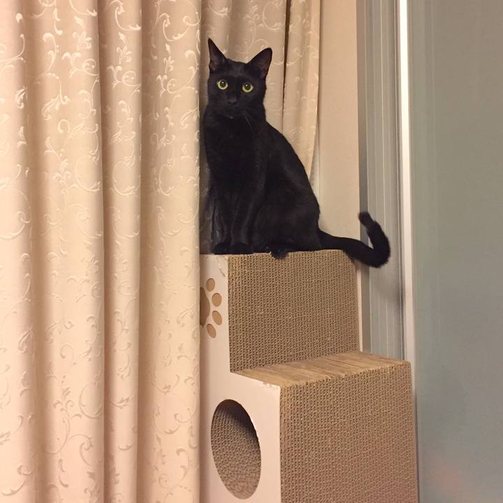 6599b39d f9ac 467f aede f782d205235a