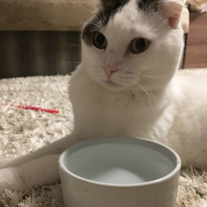 6599cc3b 4902 4a87 858d 9c2e2ee2eca4