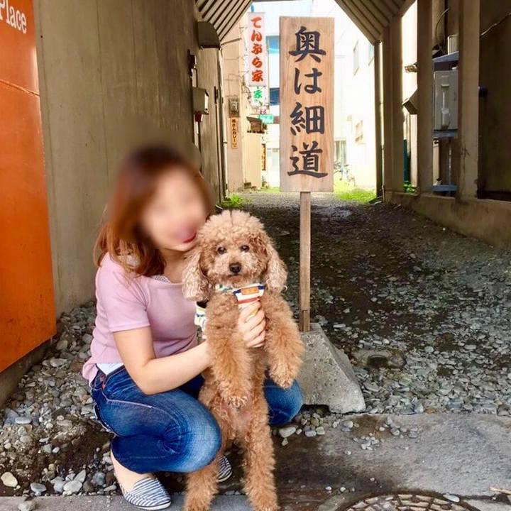 6599e94c c4c3 4d8d a713 01a45ed20f0e