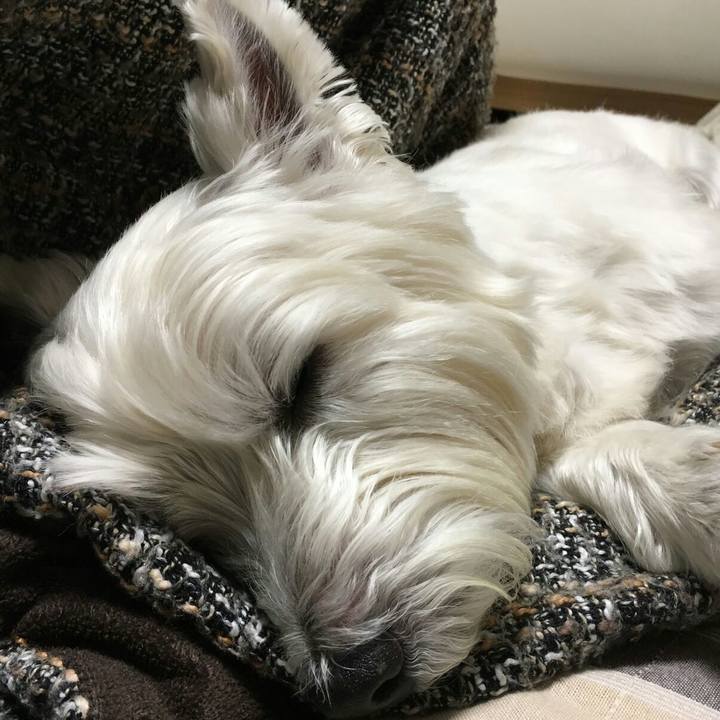 659a4728 0fd6 4023 a456 43441983f38d