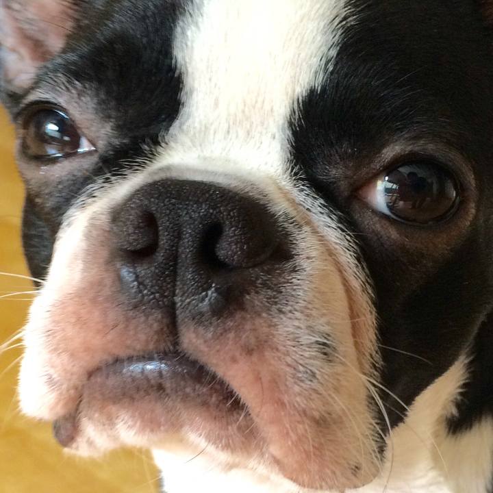 659aae9b c93e 48e6 9058 c6a7a8620ef9