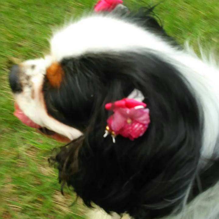 659ac585 ab0e 4e55 89d7 abeeae60d035