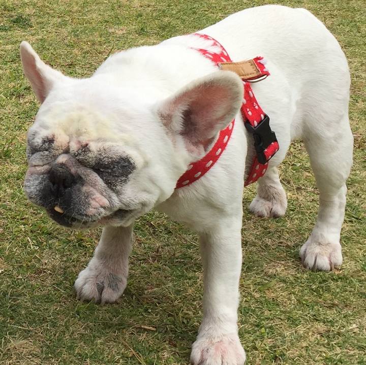 659ae052 7b37 4832 af12 2757bbe29fa5