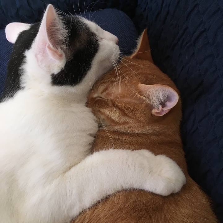 659b1539 c9e4 463e b8c5 42055971d5e6