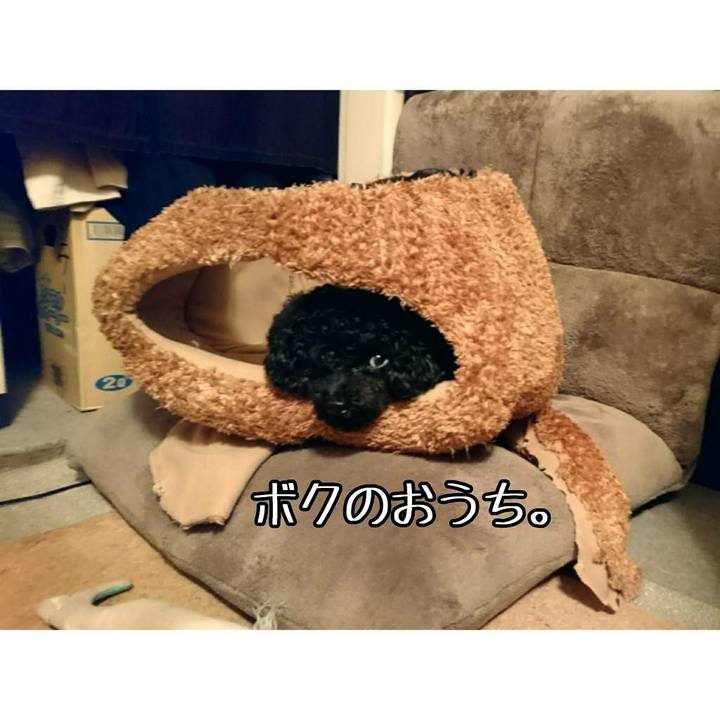 659b4714 069a 4253 8f6f 7491cbe2c425