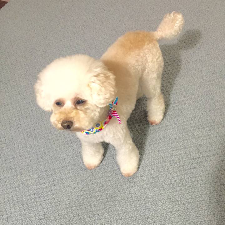 659ba54e 0b0a 4e6a 9cb3 3b0e9bab1a03