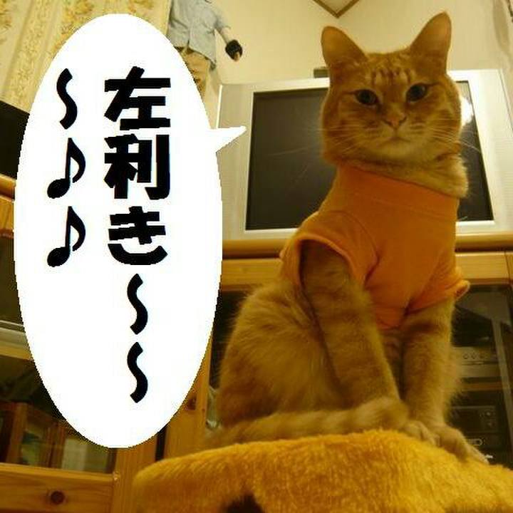 659be11f 91ac 4855 bed2 03692fd6798f