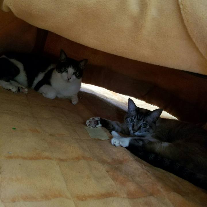 659dcb36 32de 4dad 9715 ff2e50272c63