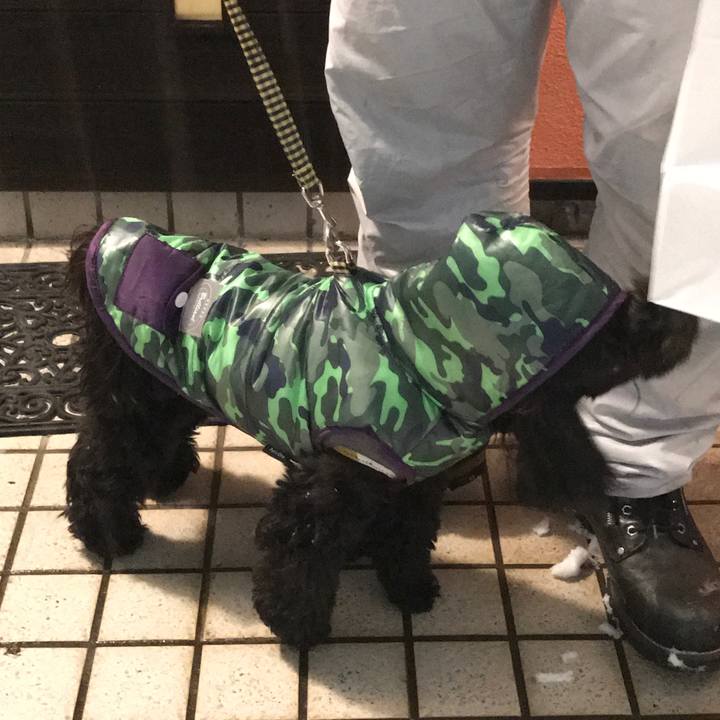 659e2553 c1f5 47b6 a6f6 e8071db7463f