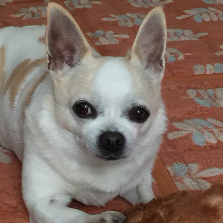 659e2b01 6dfa 470a be82 9c962b2272e5