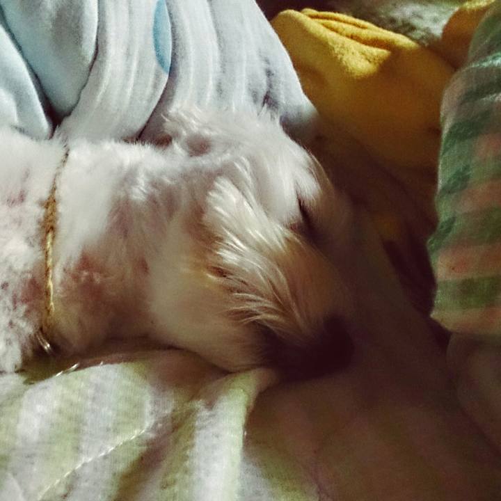 659e338a 280b 4037 a678 ea615e0be8fe