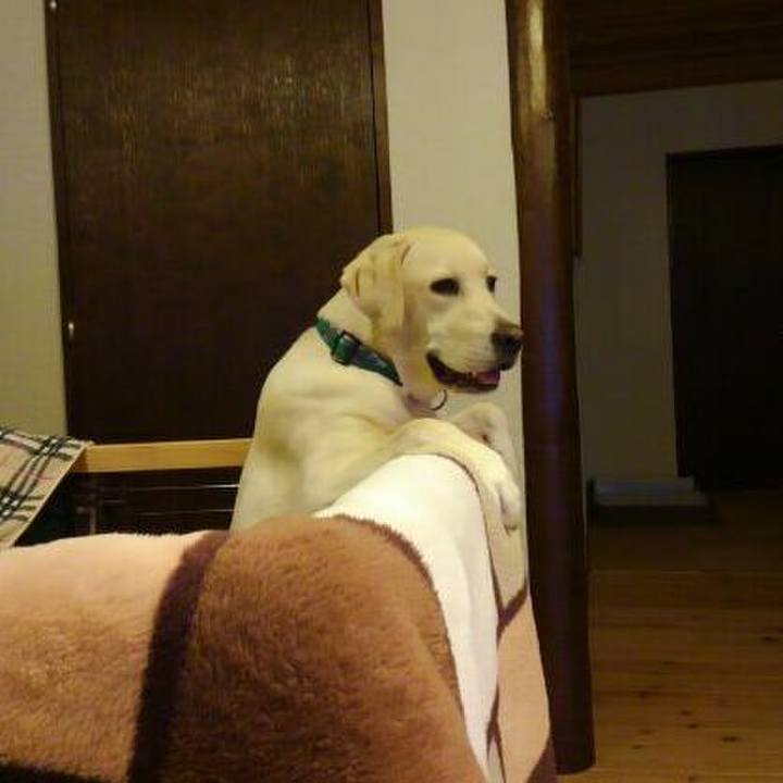 659e6086 c72d 458f b2d9 75f9e2d907dd