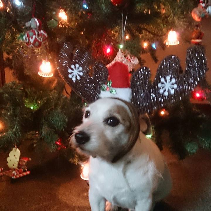 65a0028d 1b59 46db 8438 2cae7fc35e31