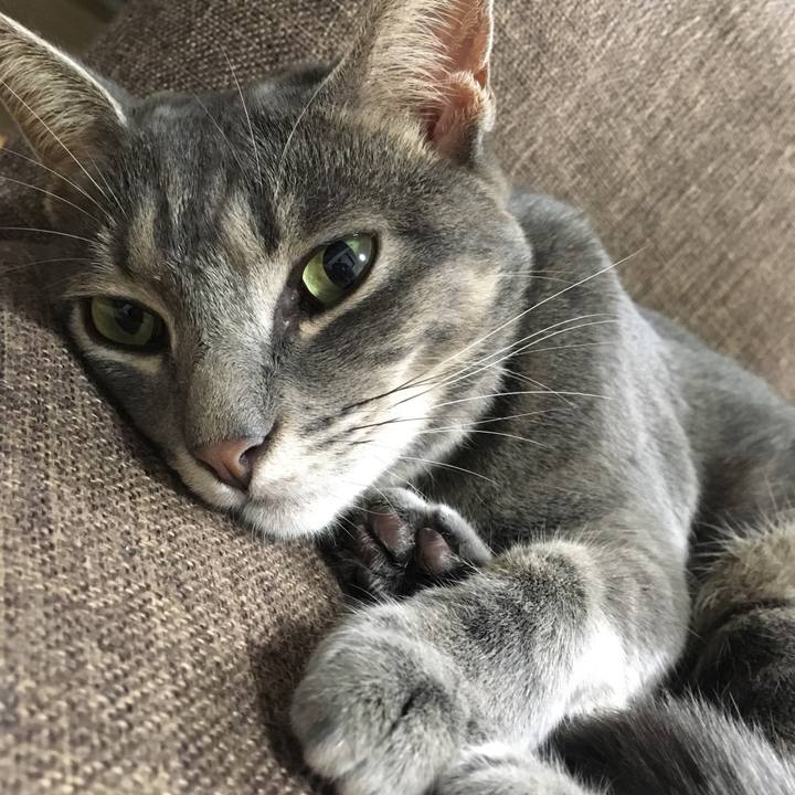 65a00638 78c9 45a7 a49b ea9a103328b0