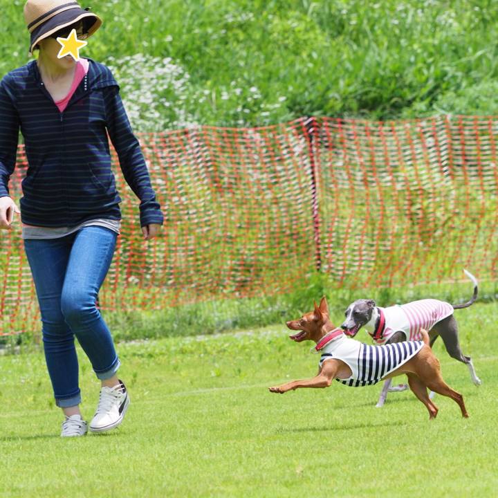 65a04969 cabc 4166 a222 89ad5643a8a8