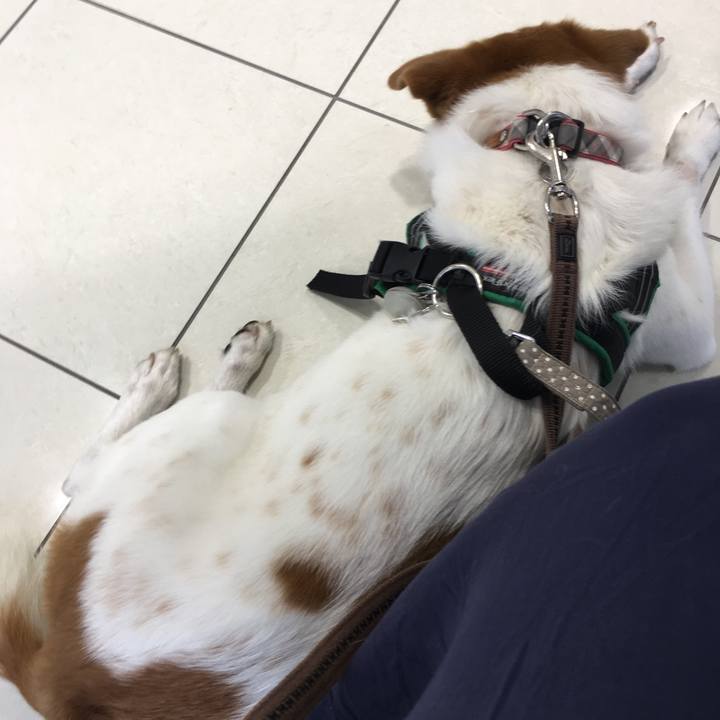 65a10e29 7814 4703 8b78 204d043fabd7