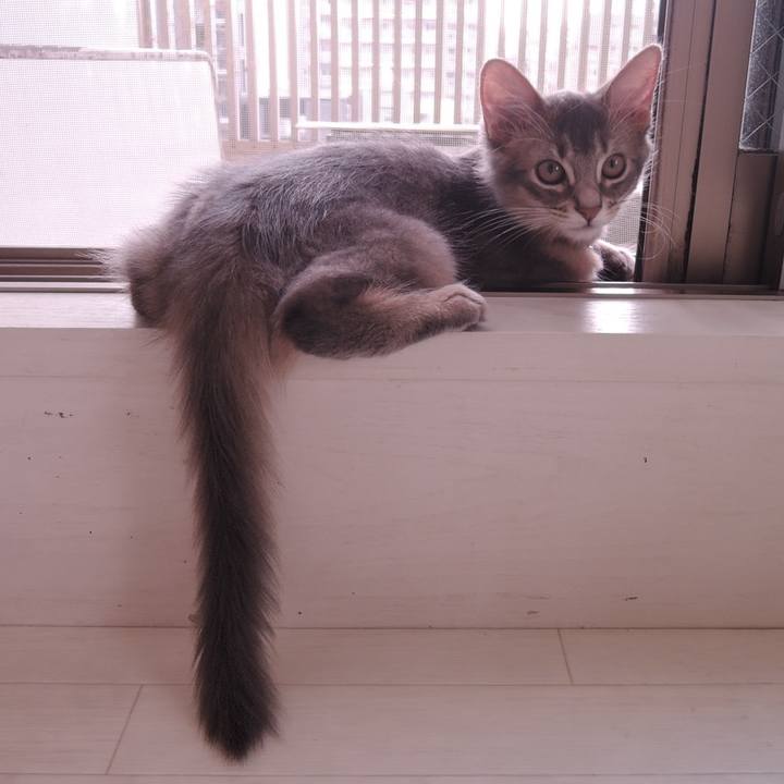 65a149b1 f805 41f0 aabc 3a61c164ce83