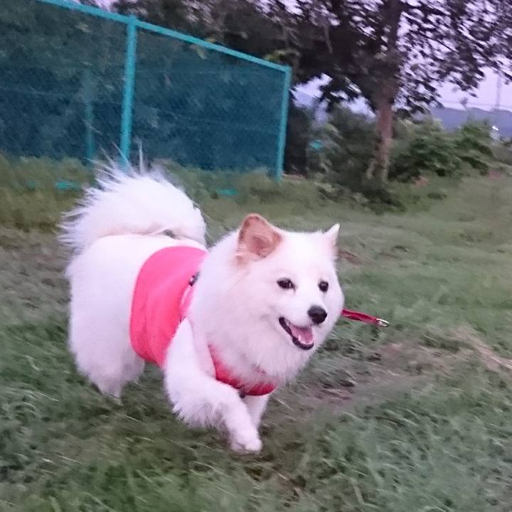 65a1ba29 c8ec 4c72 a08b 500bfd26005d