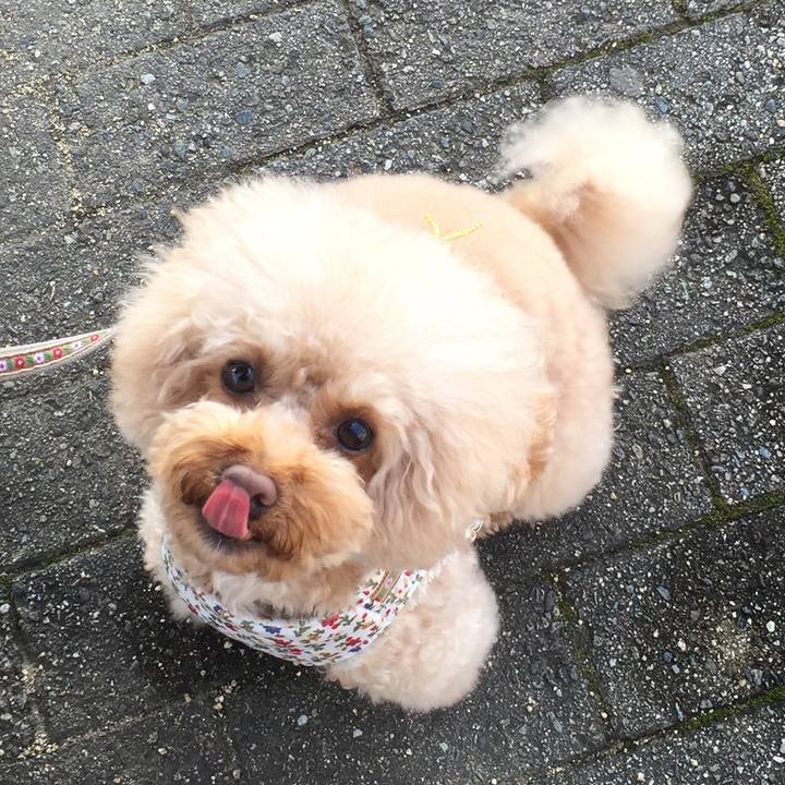 65a1e5b6 ec6d 4f92 b689 2430c0d59eee