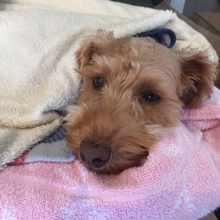 65a2b5e0 6aed 4d3d 8589 6e4fc0c89d7f