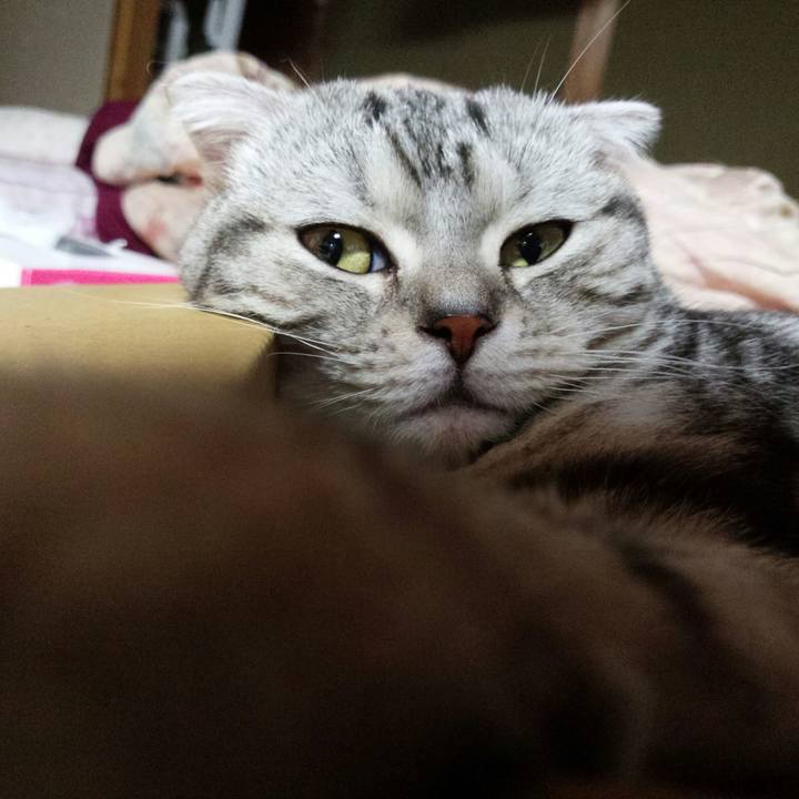 65a2c1ad df5b 4430 a1c4 0e31020b8375