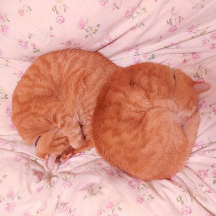 65a316c2 3b66 42af 9b9f 3ed09b07daa4