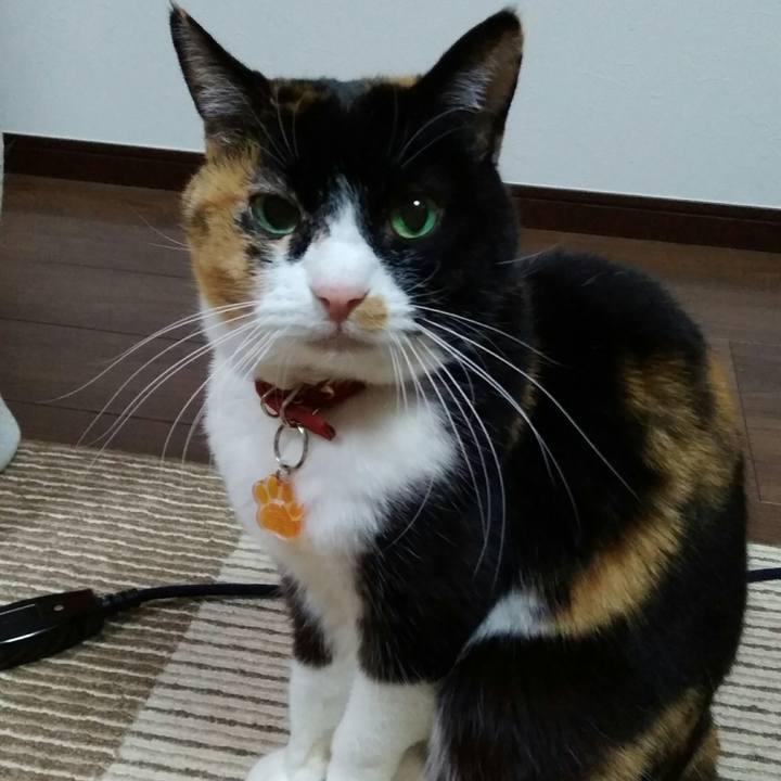 65a3eef5 9872 4c3e a82b 07983d31b3b6