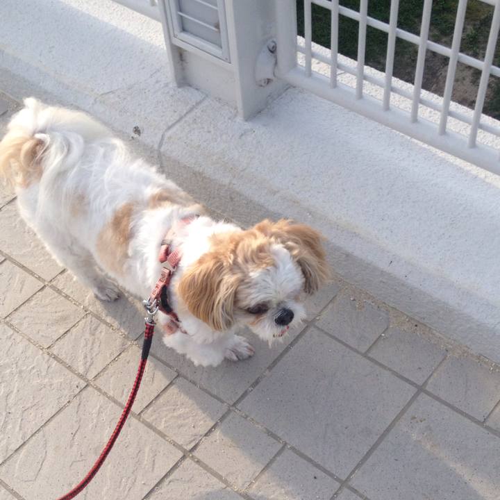 65a4447b dbe6 47ef b5cb 423920333e6a