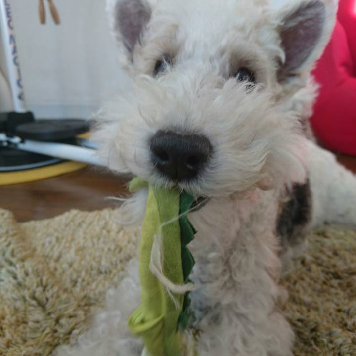 65a4967b 6584 43a3 93ad f3dd7884a0cc